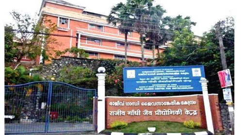 തലച്ചോറിലെ മൂലകോശങ്ങളുടെ വികാസം: നിര്‍ണായക കണ്ടെത്തലുമായി ആര്‍ജിസിബി